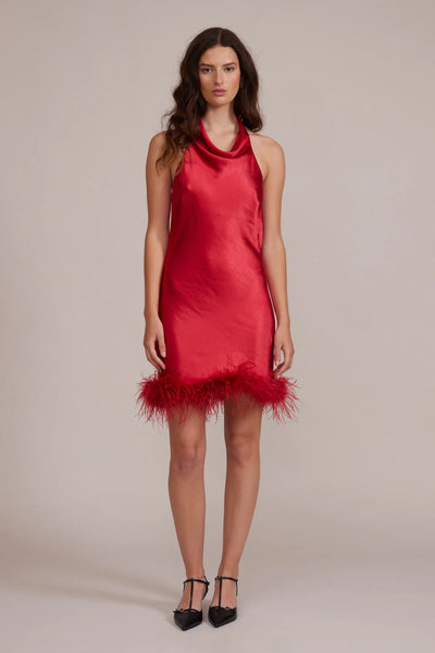 Dolly Red Feather Dress