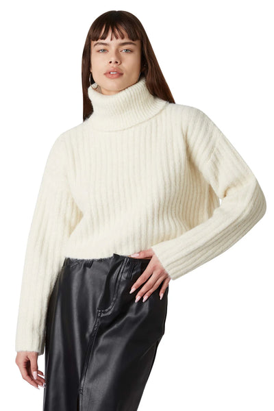 Bruni Turtleneck Sweater